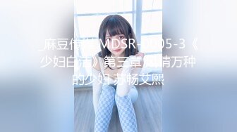 _麻豆传媒 MDSR-0005-3《少妇白洁》第三章 风情万种的少妇 苏畅艾熙