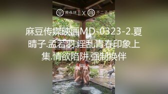 麻豆传媒映画MD-0323-2.夏晴子.孟若羽.淫乱青春印象上集.情欲陷阱.强制换伴