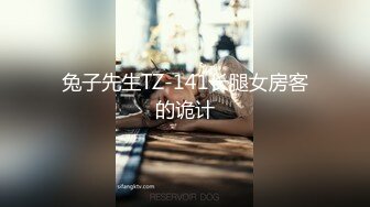 兔子先生TZ-141长腿女房客的诡计