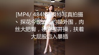 [MP4/ 484M] 模特写真拍摄丶探花今晚酒店约操外围，肉丝大肥臀，硬直接开操，扶着大屁股后入暴插