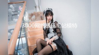 3000网约极品车站模特