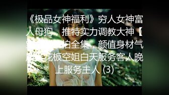 《极品女神福利》穷人女神富人母狗，推特实力调教大神【宝马】私拍全集，颜值身材气质天花板空姐白天服务客人晚上服务主人 (3)