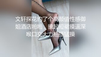 文轩探花约了个高颜值性感御姐酒店啪啪，撩起短裙摸逼深喉口交大力抽插猛操