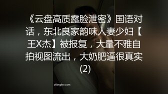 《云盘高质露脸泄密》国语对话，东北良家韵味人妻少妇【王X杰】被报复，大量不雅自拍视图流出，大奶肥逼很真实 (2)