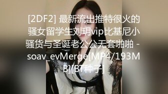 [2DF2] 最新流出推特很火的骚女留学生刘玥vip比基尼小骚货与圣诞老公公无套啪啪 - soav_evMerge[MP4/193MB][BT种子]