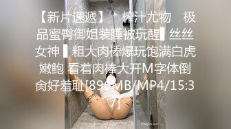 路边公厕全景偷拍出来散步的少妇丰满大肥B