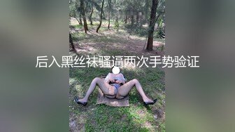 后入黑丝袜骚逼两次手势验证