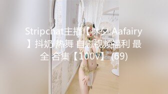 Stripchat主播【林夕 Aafairy】抖奶 热舞 自慰视频福利 最全 合集【100v】 (69)