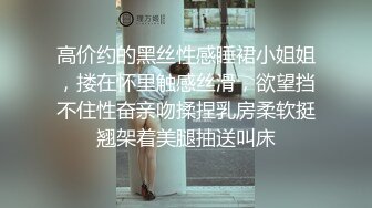 高价约的黑丝性感睡裙小姐姐，搂在怀里触感丝滑，欲望挡不住性奋亲吻揉捏乳房柔软挺翘架着美腿抽送叫床