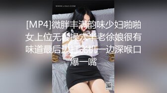 [MP4]微胖丰满韵味少妇啪啪女上位无套操穴半老徐娘很有味道最后边打飞机一边深喉口爆一嘴