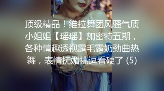 顶级精品！维拉舞团风骚气质小姐姐【瑶瑶】加密特五期，各种情趣透视露毛露奶劲曲热舞，表情抚媚挑逗看硬了 (5)