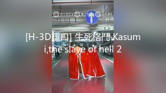 [H-3D重口] 生死格鬥 Kasumi,the slave of hell 2