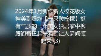 2024年1月新作新人校花级女神美到爆炸【一只酸柠檬】挺有气质的一个美女独居家中柳腰翘臀扭起来看了让人瞬间硬起来 (3)