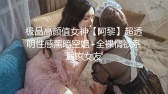 极品高颜值女神【阿黎】超透明性感黑暗空姐+全裸情欲系居家女友