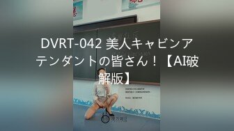 DVRT-042 美人キャビンアテンダントの皆さん！【AI破解版】