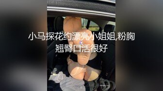 小马探花约漂亮小姐姐,粉胸翘臀口活很好