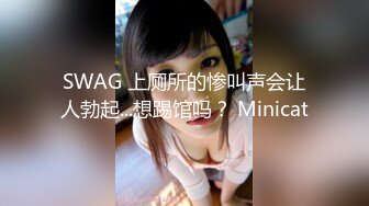 SWAG 上厕所的惨叫声会让人勃起...想踢馆吗？ Minicat