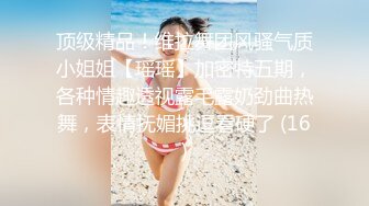 顶级精品！维拉舞团风骚气质小姐姐【瑶瑶】加密特五期，各种情趣透视露毛露奶劲曲热舞，表情抚媚挑逗看硬了 (16)