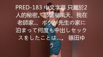 PRED-183 中文字幕 只屬於2人的秘密。那個颱風天、我在老師家..、ボクが先生の家に泊まって何度も中出しセックスをしたことは…。 篠田ゆう