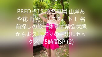 PRED-515 改名専属 山岸あや花 再誕、リスタート！ 名前探しの旅→休養中禁欲状態からお久しぶりの中出しセックス！5時間SP (2)