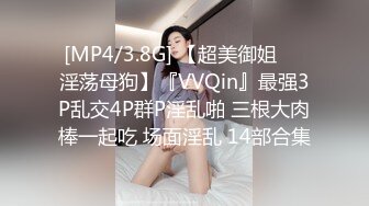 [MP4/3.8G] 【超美御姐❤️淫荡母狗】『VVQin』最强3P乱交4P群P淫乱啪 三根大肉棒一起吃 场面淫乱 14部合集