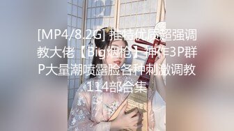 [MP4/8.2G] 推特优质超强调教大佬【Big烟枪】神作3P群P大量潮喷露脸各种刺激调教114部合集