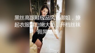 扬州少妇  打桩机输出白浆