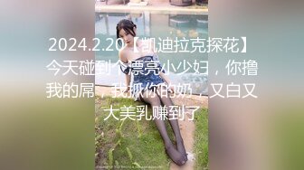 2024.2.20【凯迪拉克探花】今天碰到个漂亮小少妇，你撸我的屌，我抓你的奶，又白又大美乳赚到了