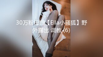 30万粉母狗【Ella小骚狐】野外露出 调教 (6)