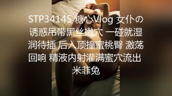 STP34145 糖心Vlog 女仆の诱惑吊带黑丝嫩穴 一碰就湿润待插 后入顶撞蜜桃臀 激荡回响 精液内射灌满蜜穴流出 米菲兔