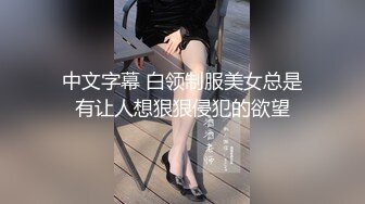 中文字幕 白领制服美女总是有让人想狠狠侵犯的欲望