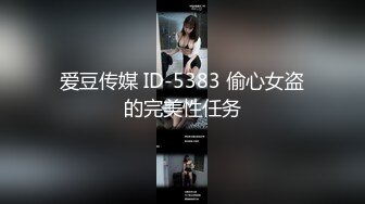 爱豆传媒 ID-5383 偷心女盗的完美性任务