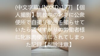 (中文字幕) [NKKD-177] 【個人撮影】調教中の牝妻に公衆便所で自撮り動画を撮らせていたら通りすがりの労働者様に牝豚肉便器にされてしまった記録【削除注意】